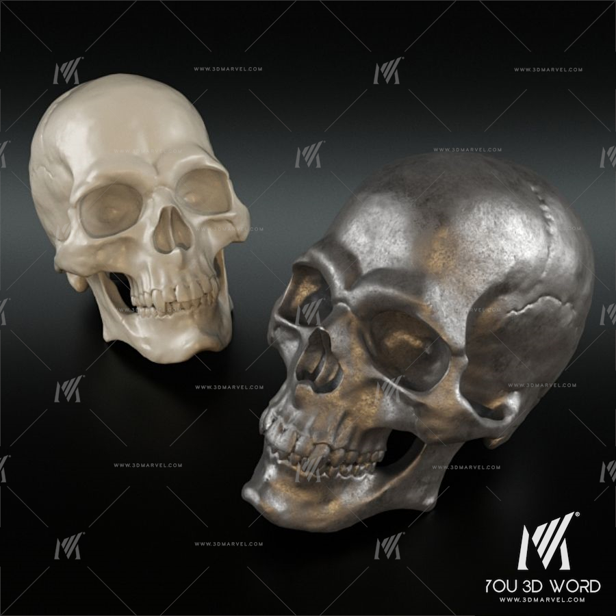 Christopher Guy Decorative Skull